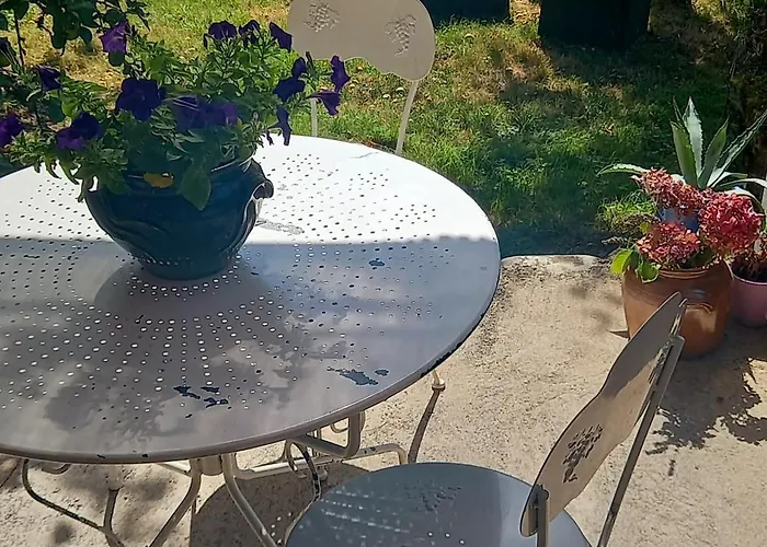 Gite Familial 10 Pers Spa De Juin A Septembre Castelnau-de-Brassac