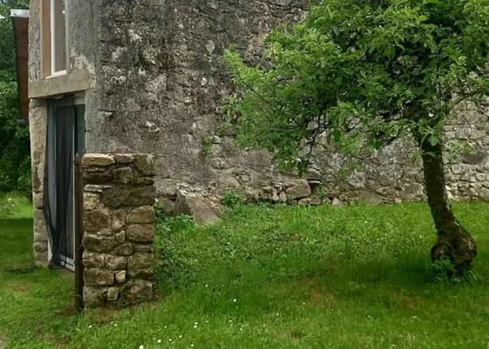 Gite Familial 10 Pers Spa De Juin A Septembre * Castelnau-de-Brassac